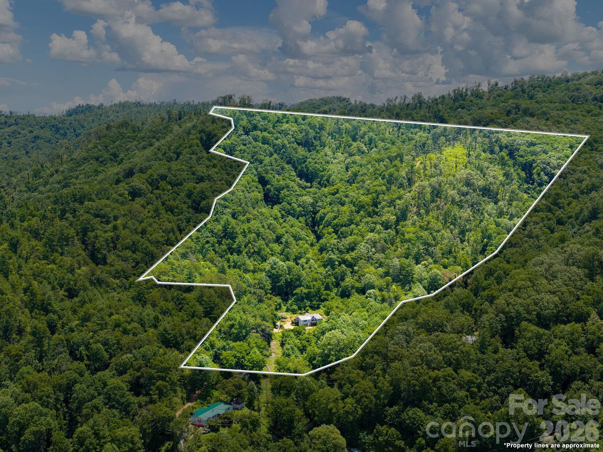 Single Family Residence at 46 Perennial Ridge, Weaverville, photo 43 of 45