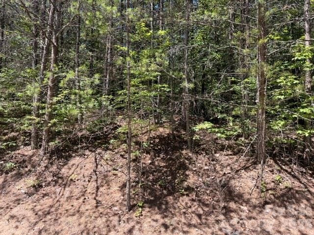 Lot at 00 Sundance Drive, Nebo, photo 4 of 6