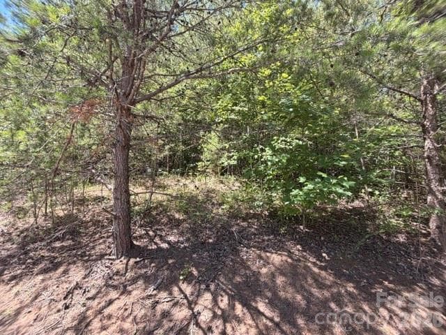Lot at 00 Sundance Drive, Nebo, photo 5 of 6