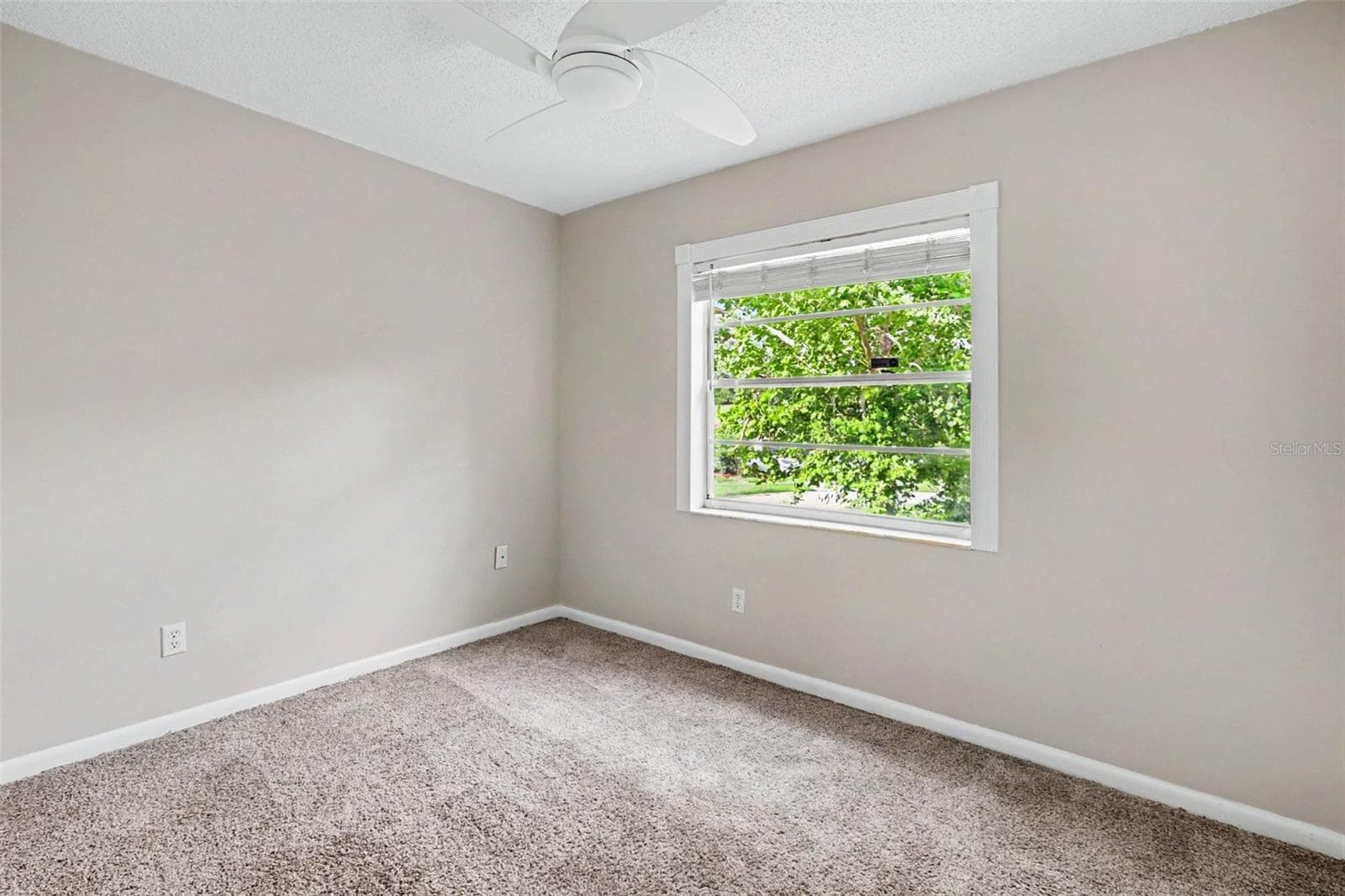 Single Family Residence at 301 REGAL PARK DR, VALRICO, photo 14 of 21
