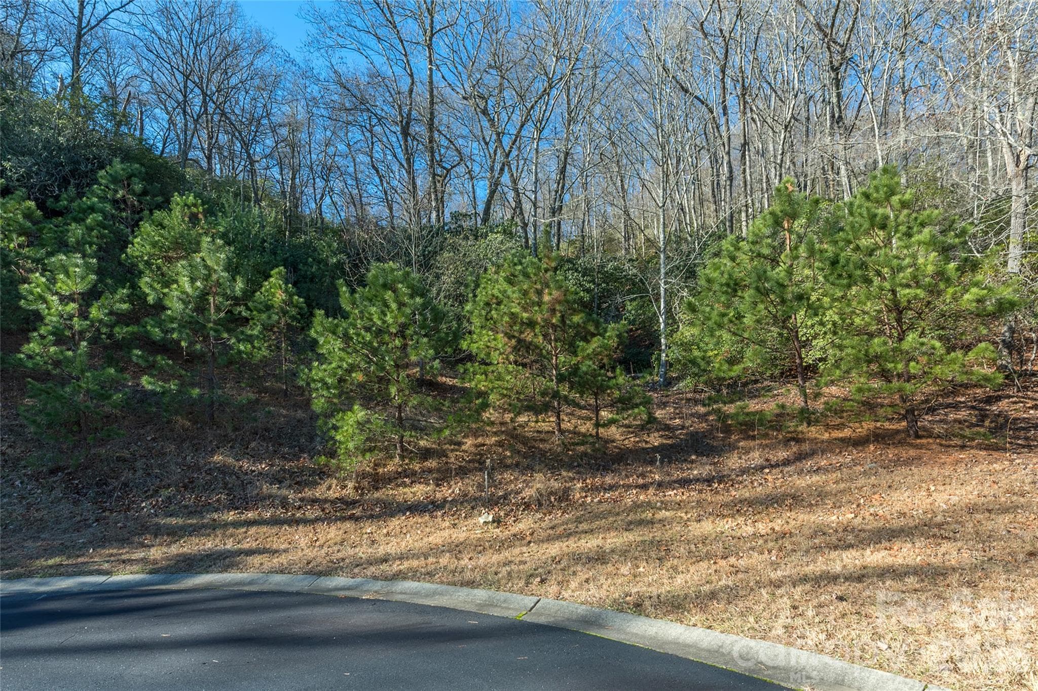 Lot at 9999 Mayfly Lane, Horse Shoe, photo 3 of 26