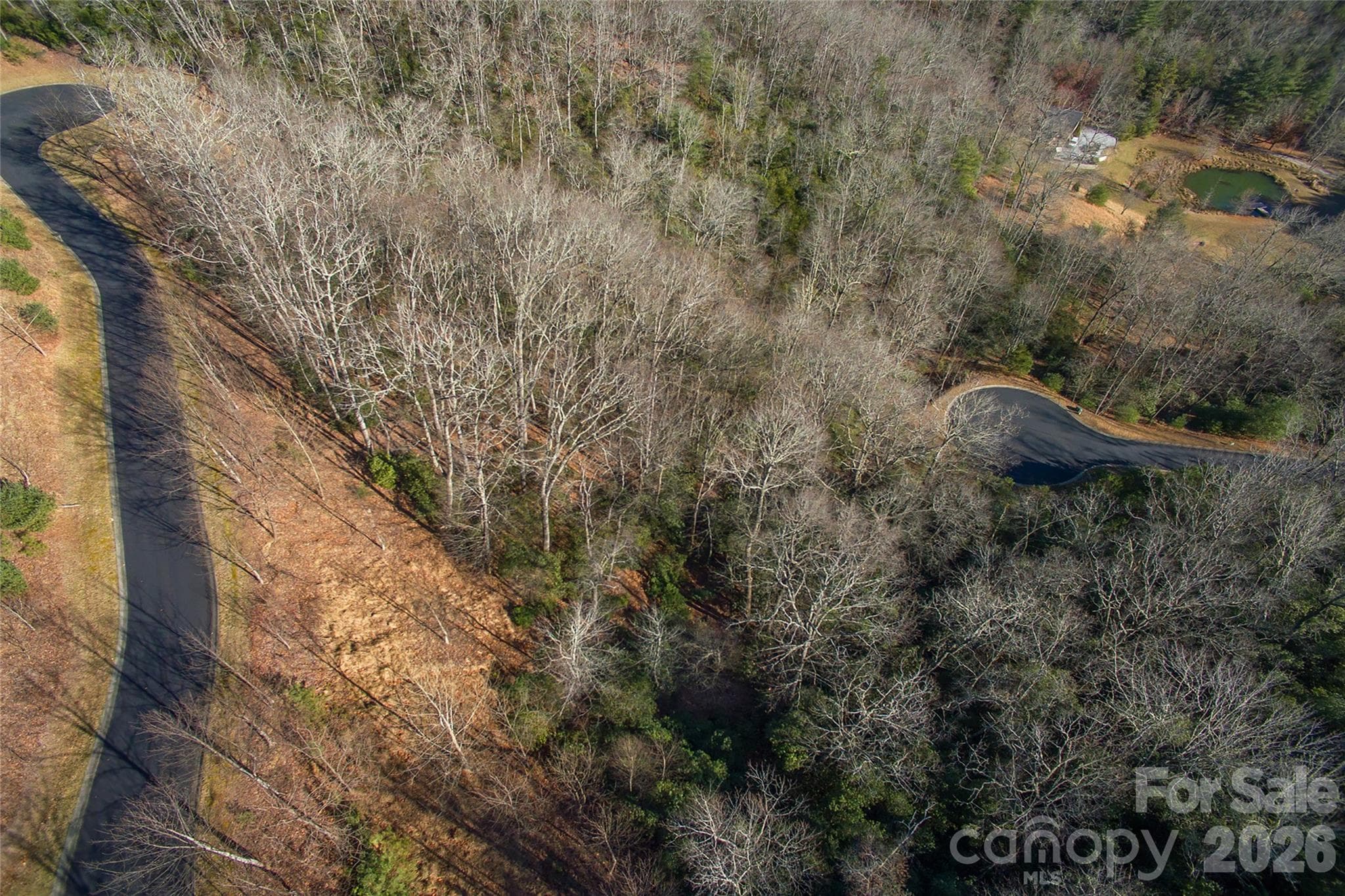 Lot at 9999 Mayfly Lane, Horse Shoe, photo 20 of 26