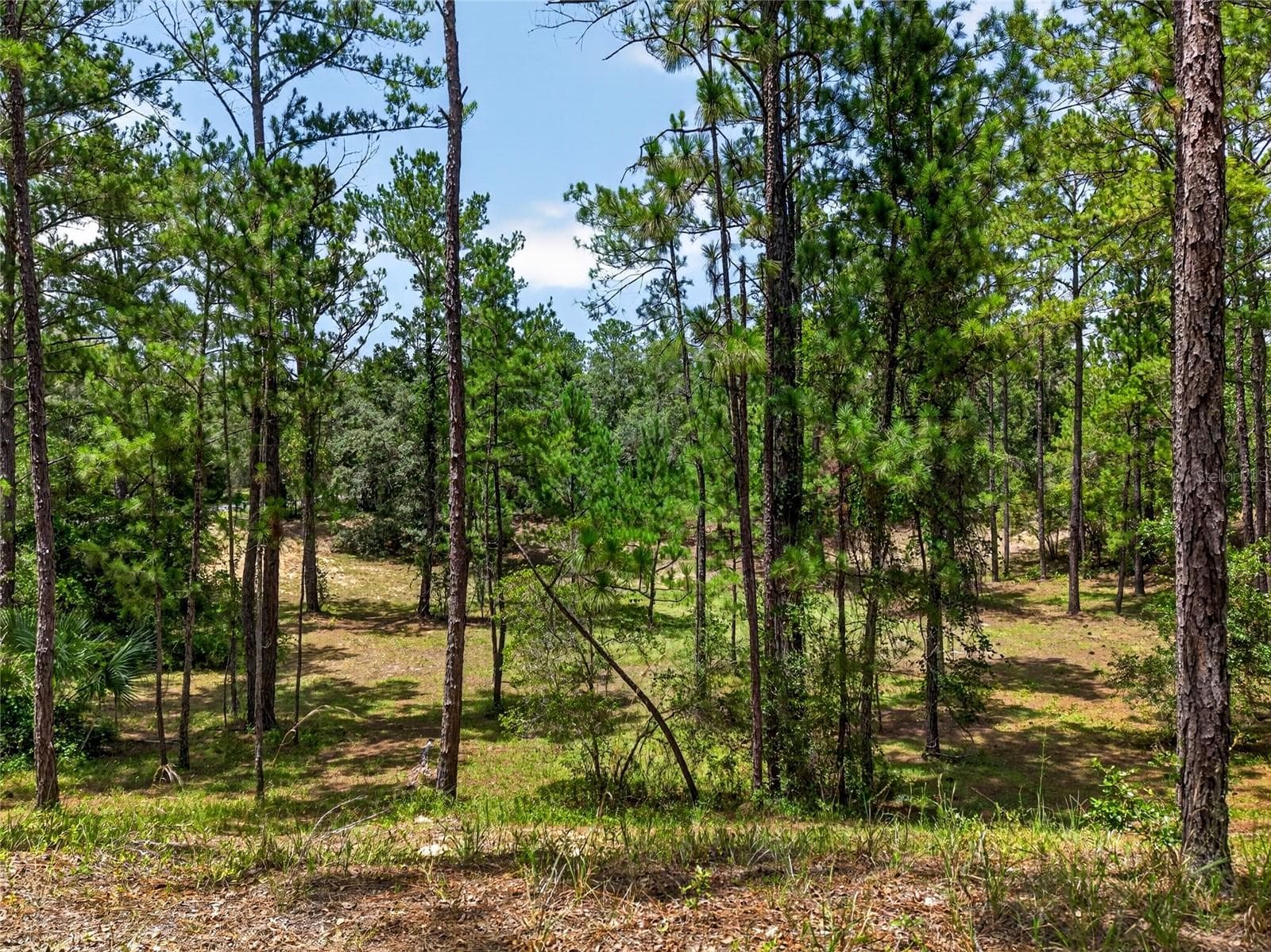 Land at 8355 N ORTON WAY, DUNNELLON, photo 3 of 13