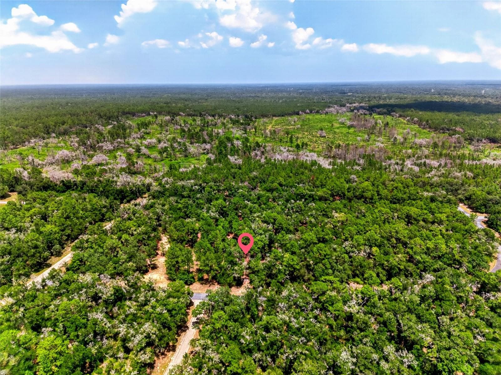 Land at 8355 N ORTON WAY, DUNNELLON, photo 4 of 13