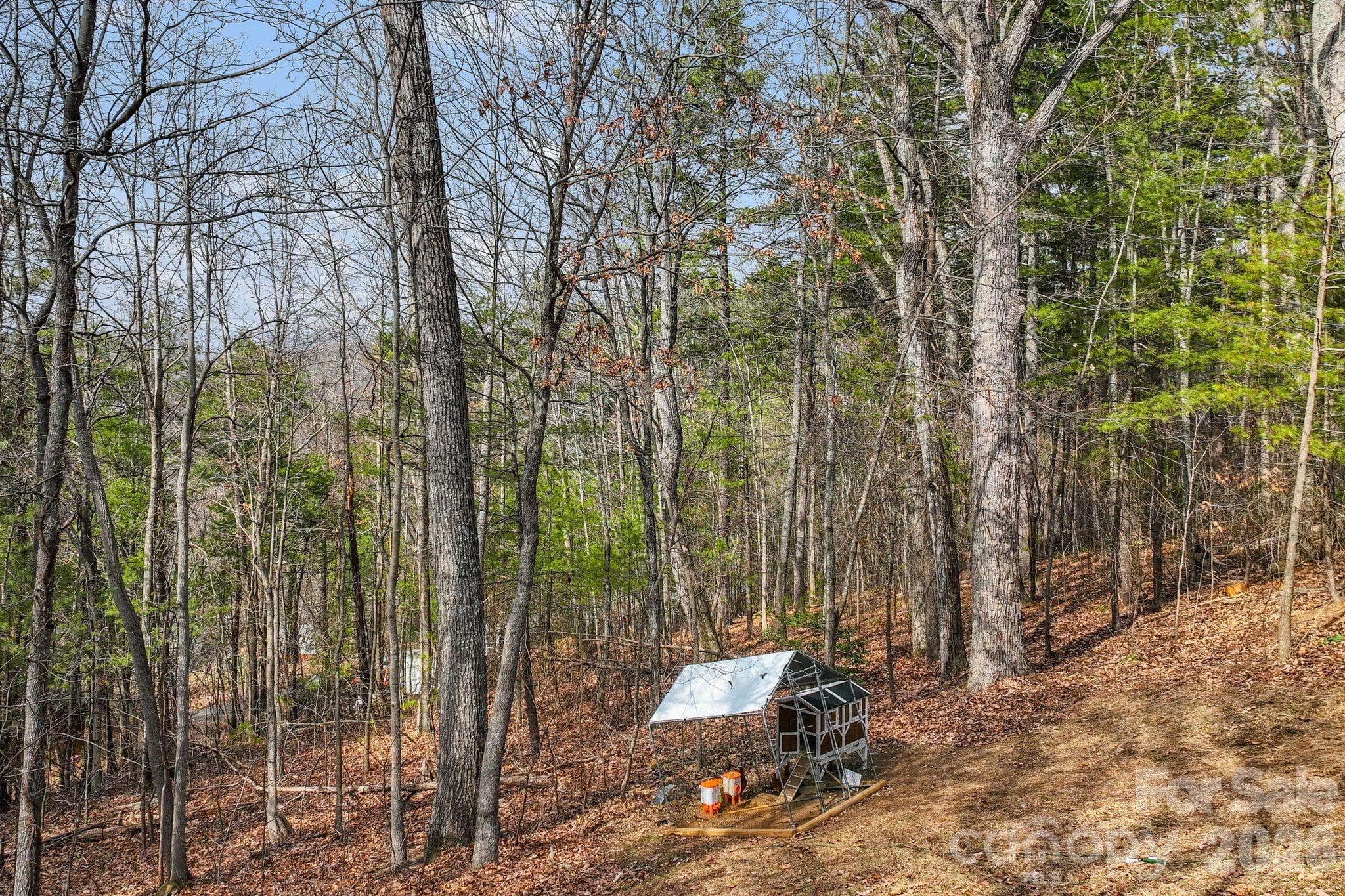 Single Family Residence at 505 Kings Ridge, Asheville, photo 37 of 44
