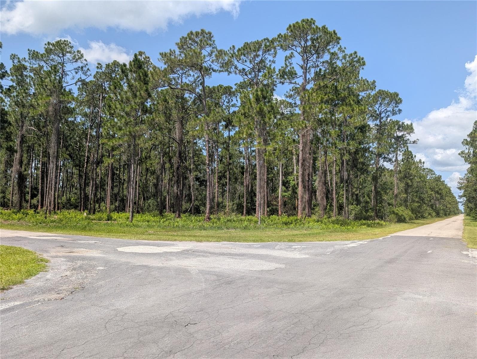 201 ALLAMANDA DR