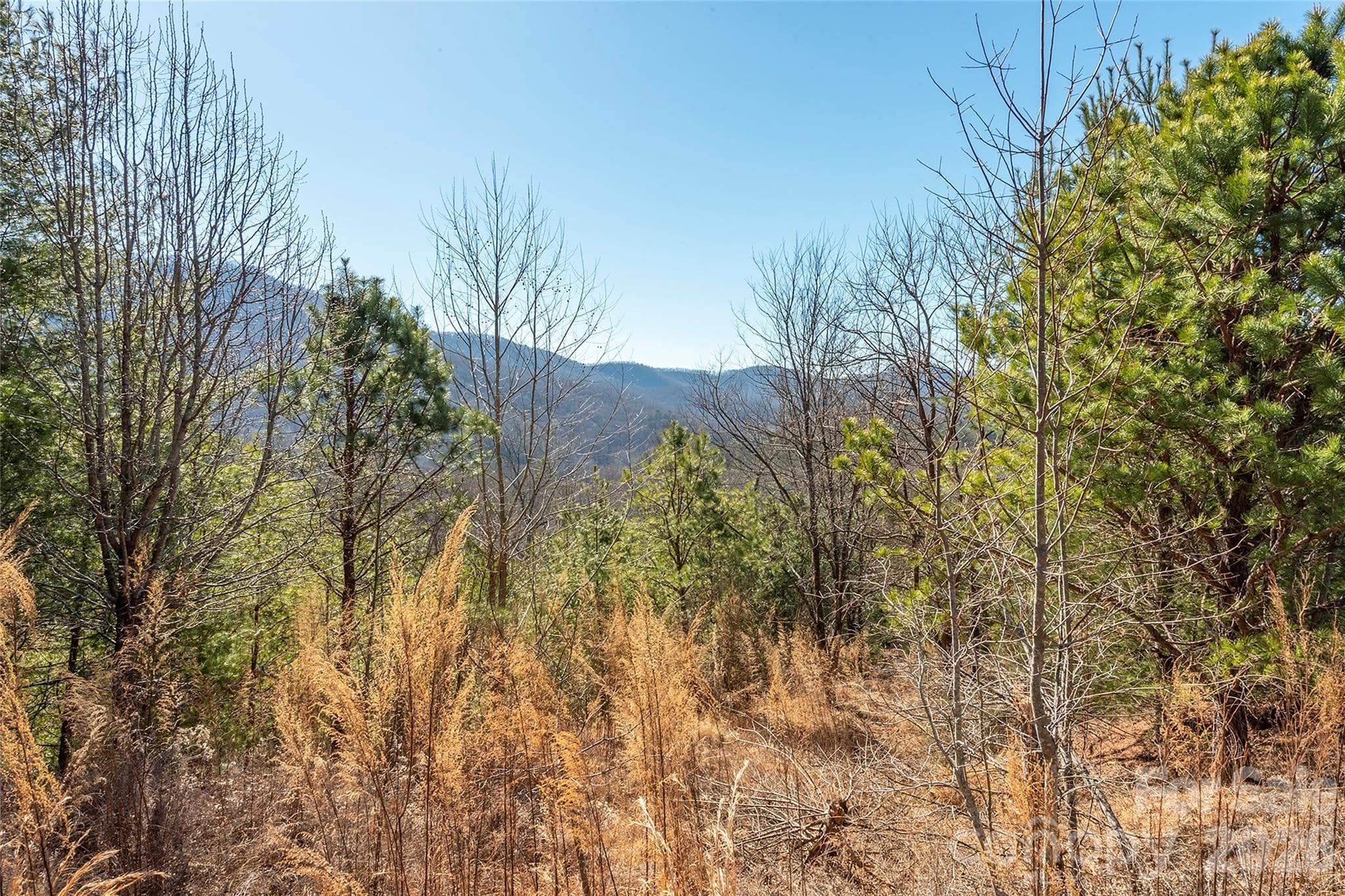 Lot at 99999 Woodhen Way, Horse Shoe, photo 2 of 35