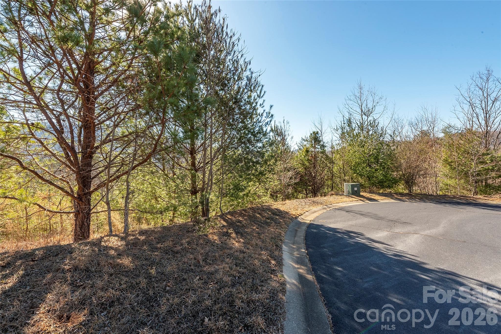 Lot at 99999 Woodhen Way, Horse Shoe, photo 4 of 35