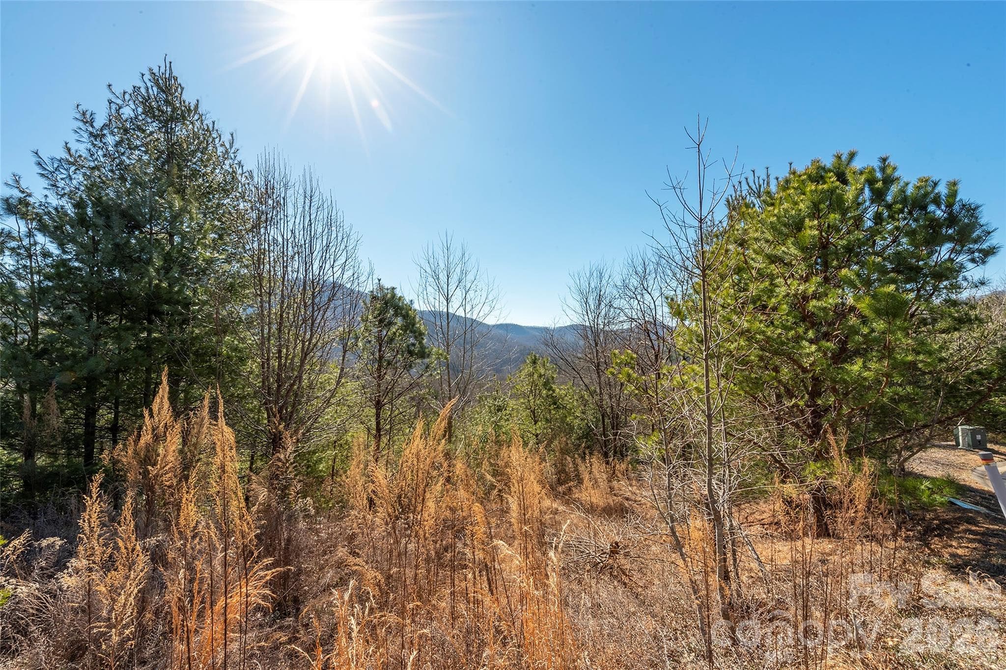 Lot at 99999 Woodhen Way, Horse Shoe, photo 5 of 35