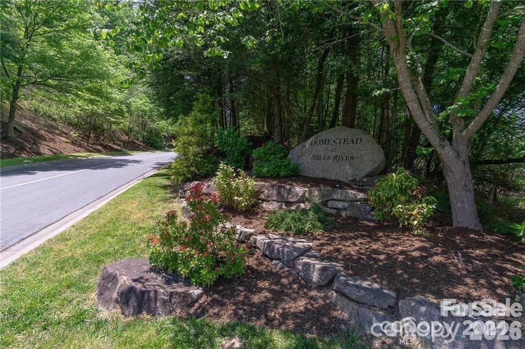 Homestead at Mills River - 99999 Woodhen Way, Horse Shoe