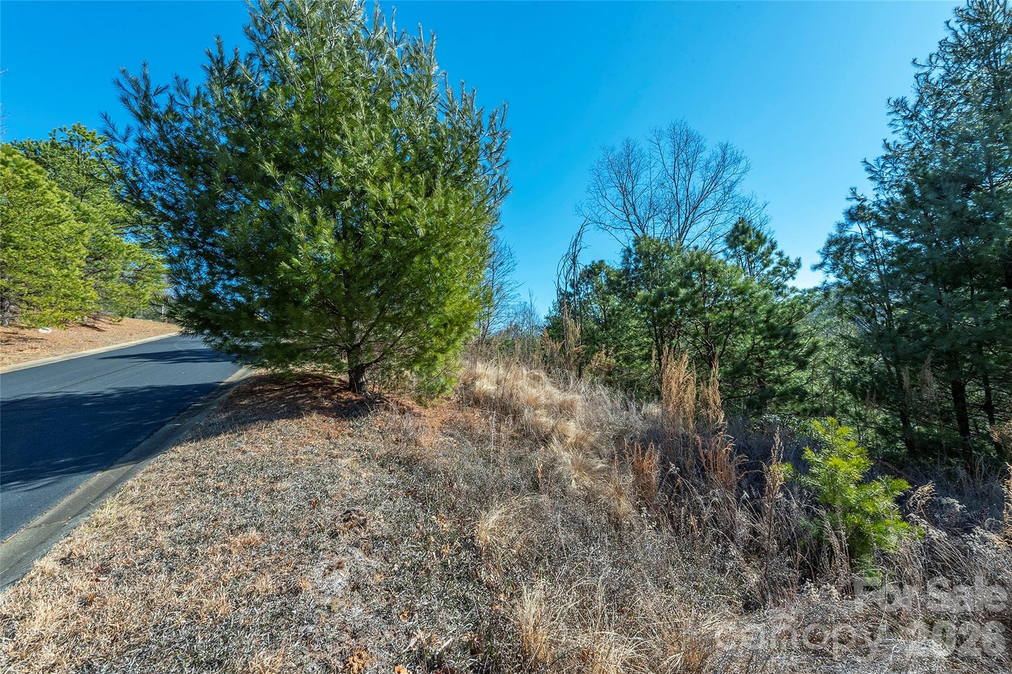 Lot at 99999 Woodhen Way, Horse Shoe, photo 13 of 35