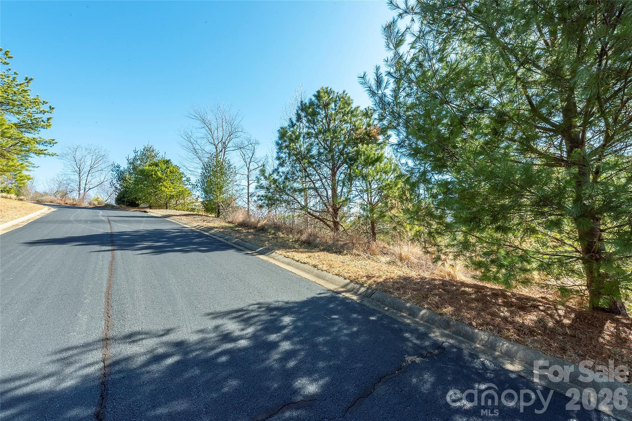 Lot at 99999 Woodhen Way, Horse Shoe, photo 14 of 35