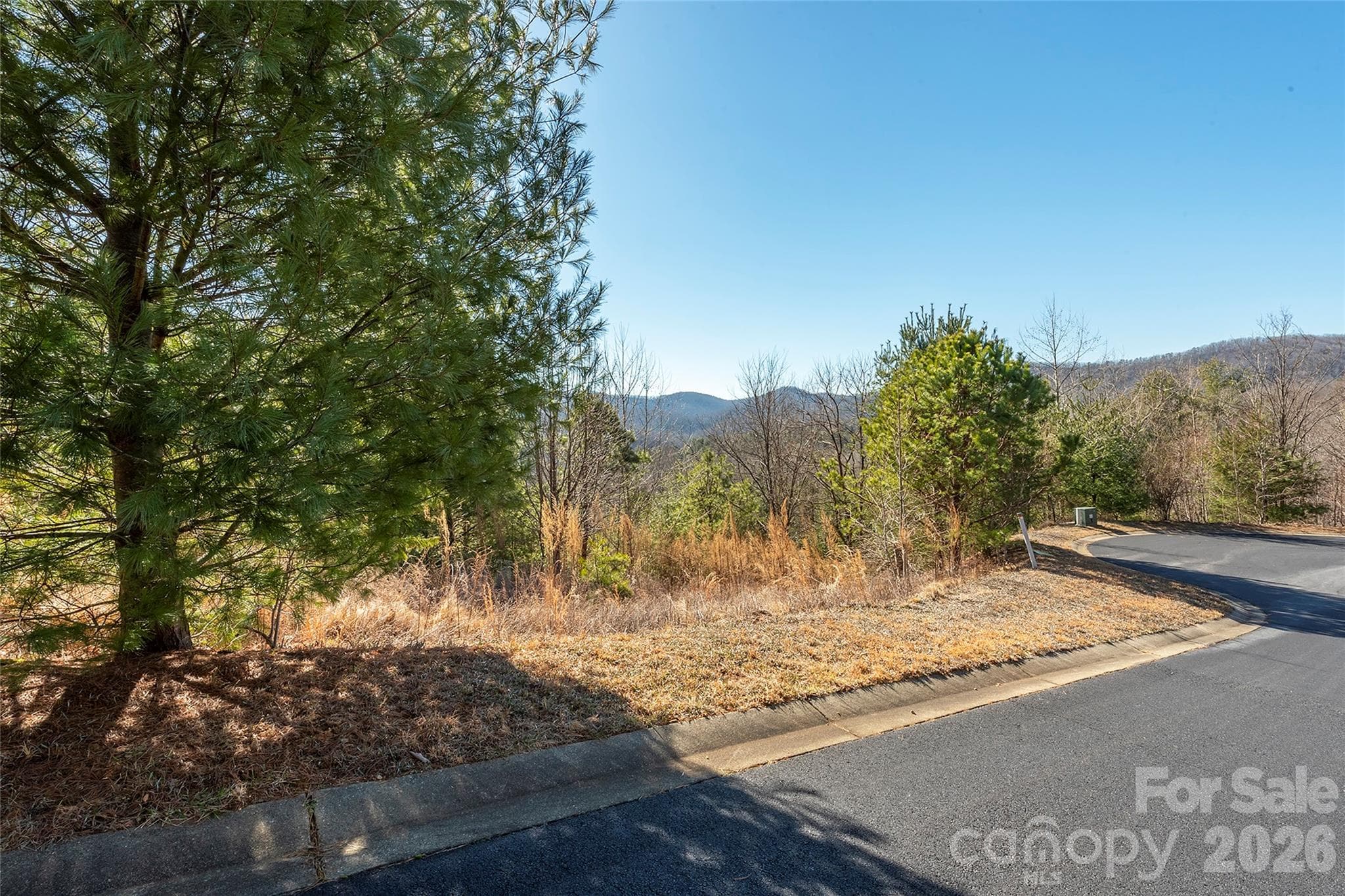 Lot at 99999 Woodhen Way, Horse Shoe, photo 15 of 35