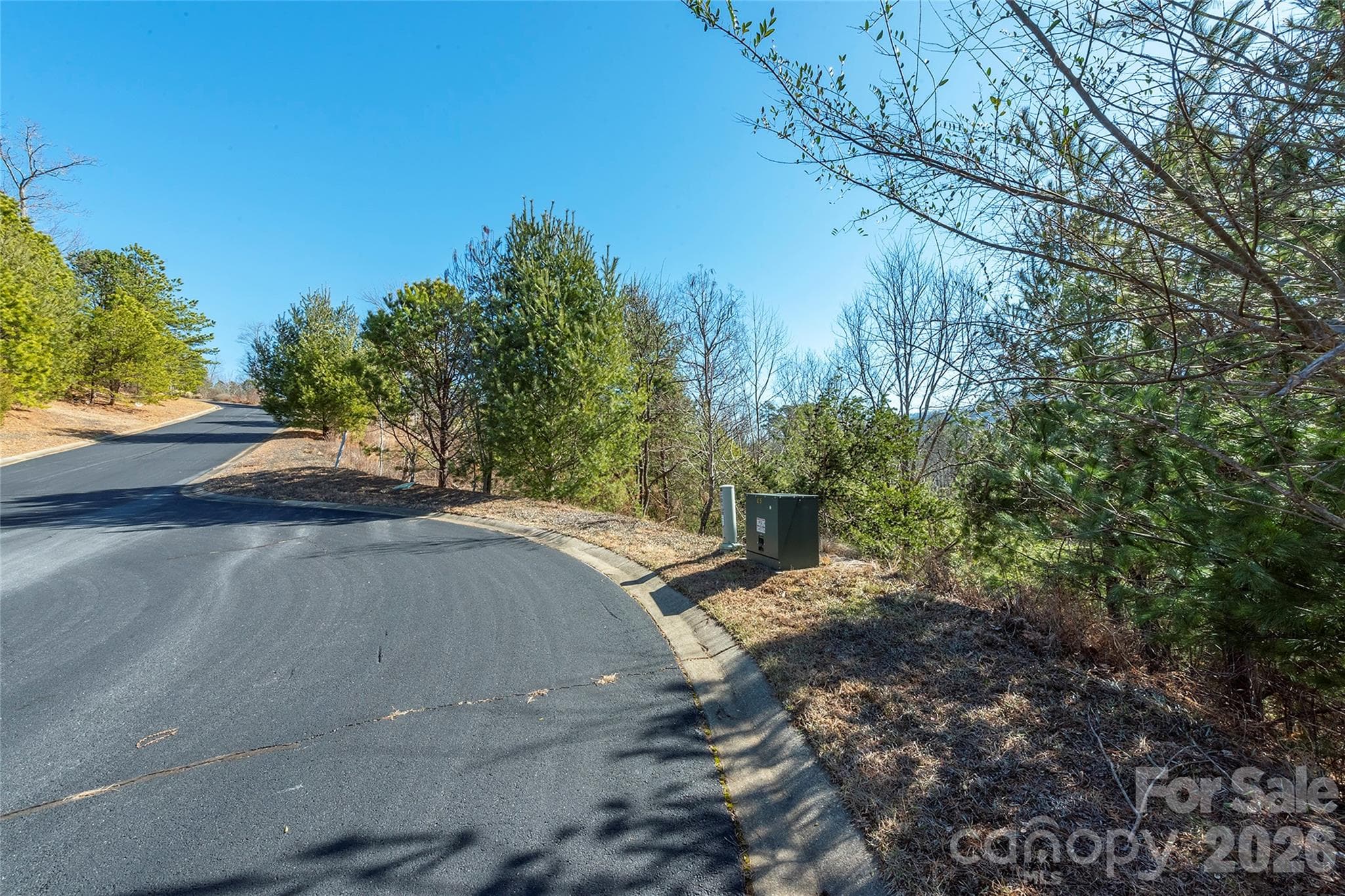 Lot at 99999 Woodhen Way, Horse Shoe, photo 18 of 35