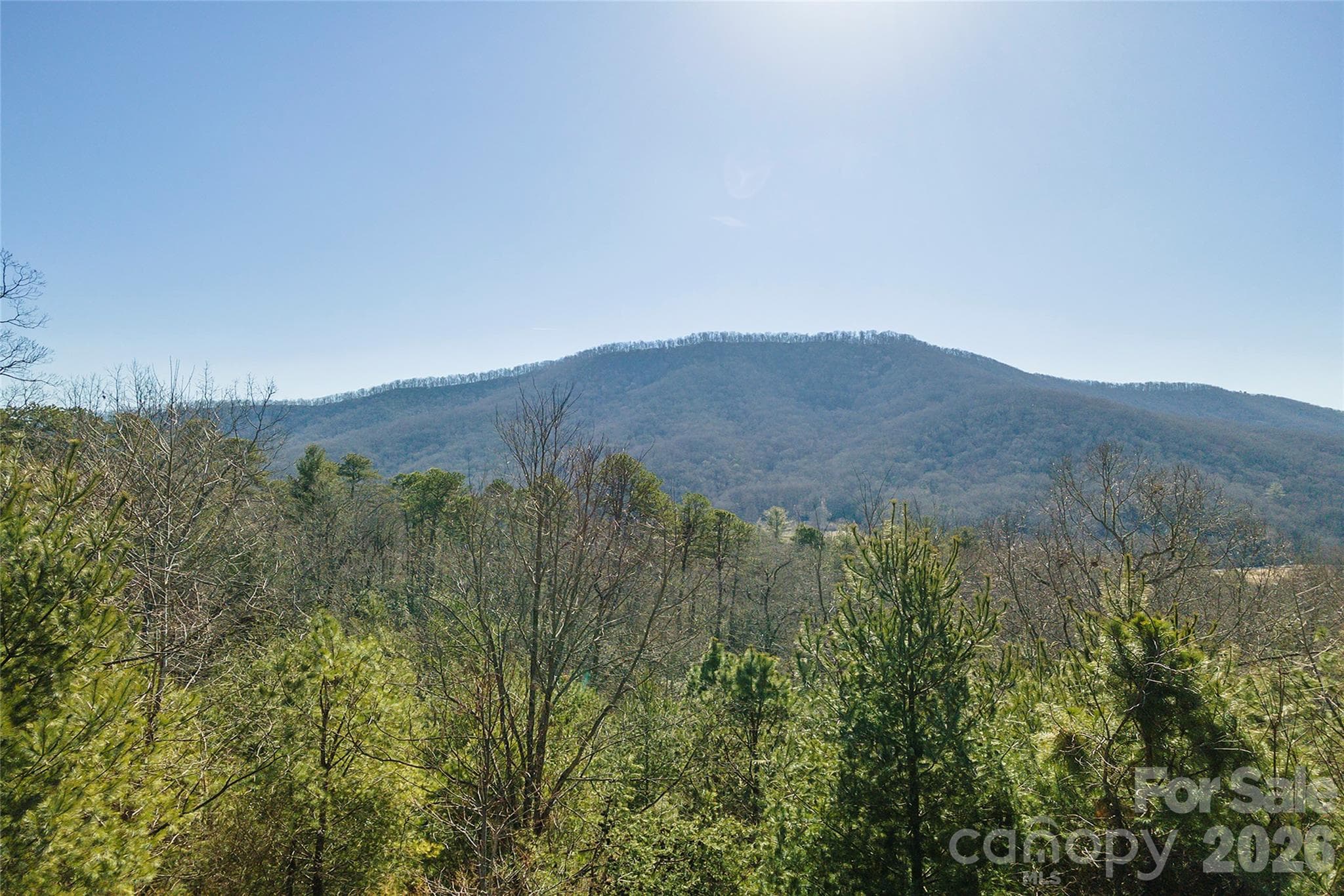 Lot at 99999 Woodhen Way, Horse Shoe, photo 19 of 35