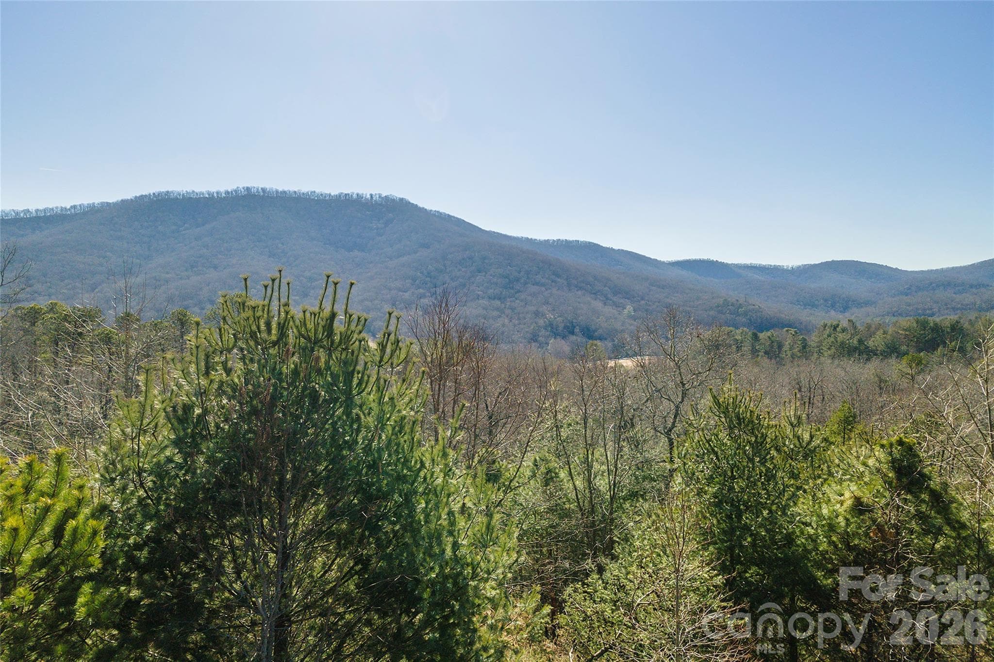 Lot at 99999 Woodhen Way, Horse Shoe, photo 20 of 35