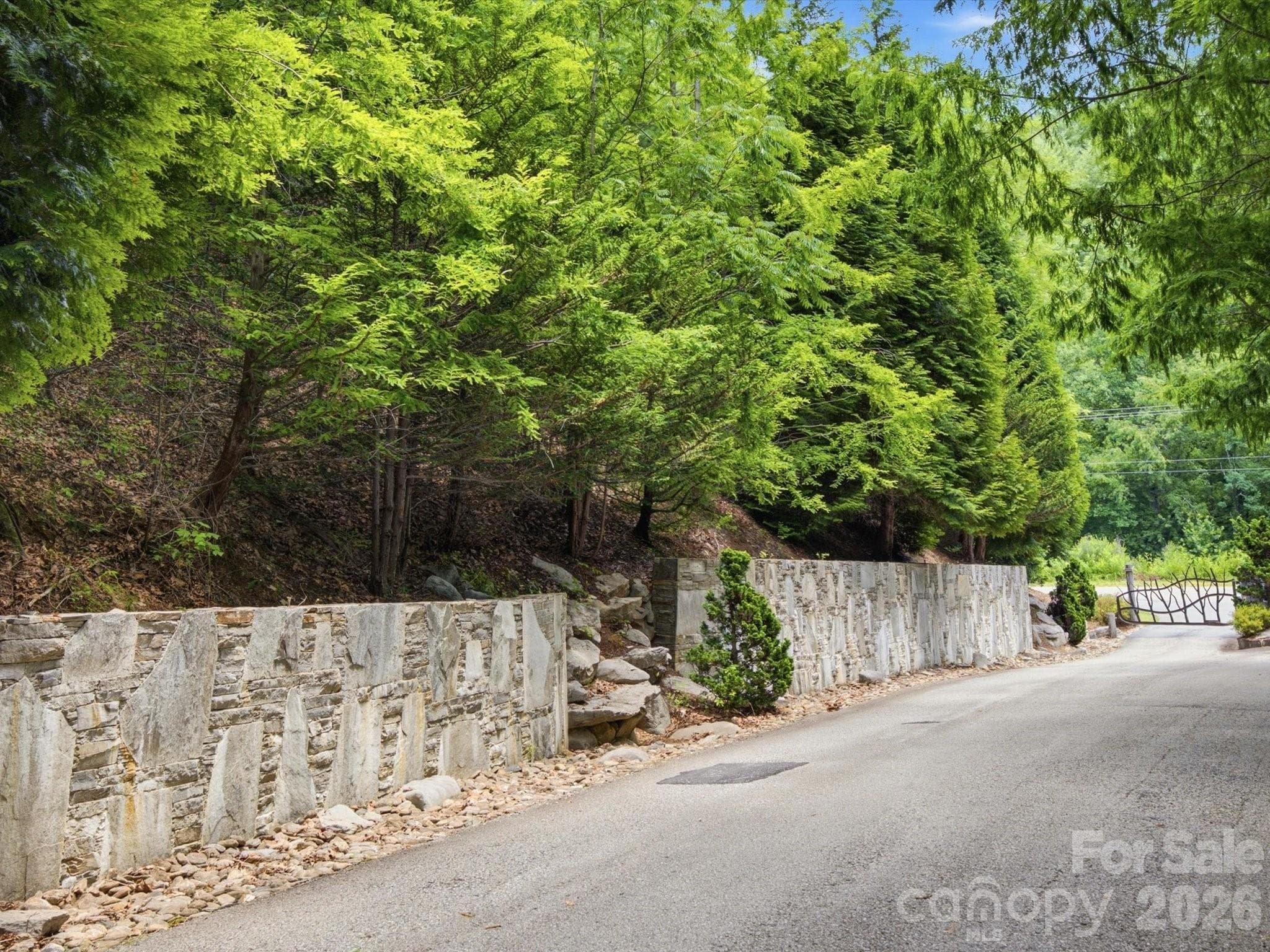 Lot at 8542 Indian Trace, Nebo, photo 5 of 18