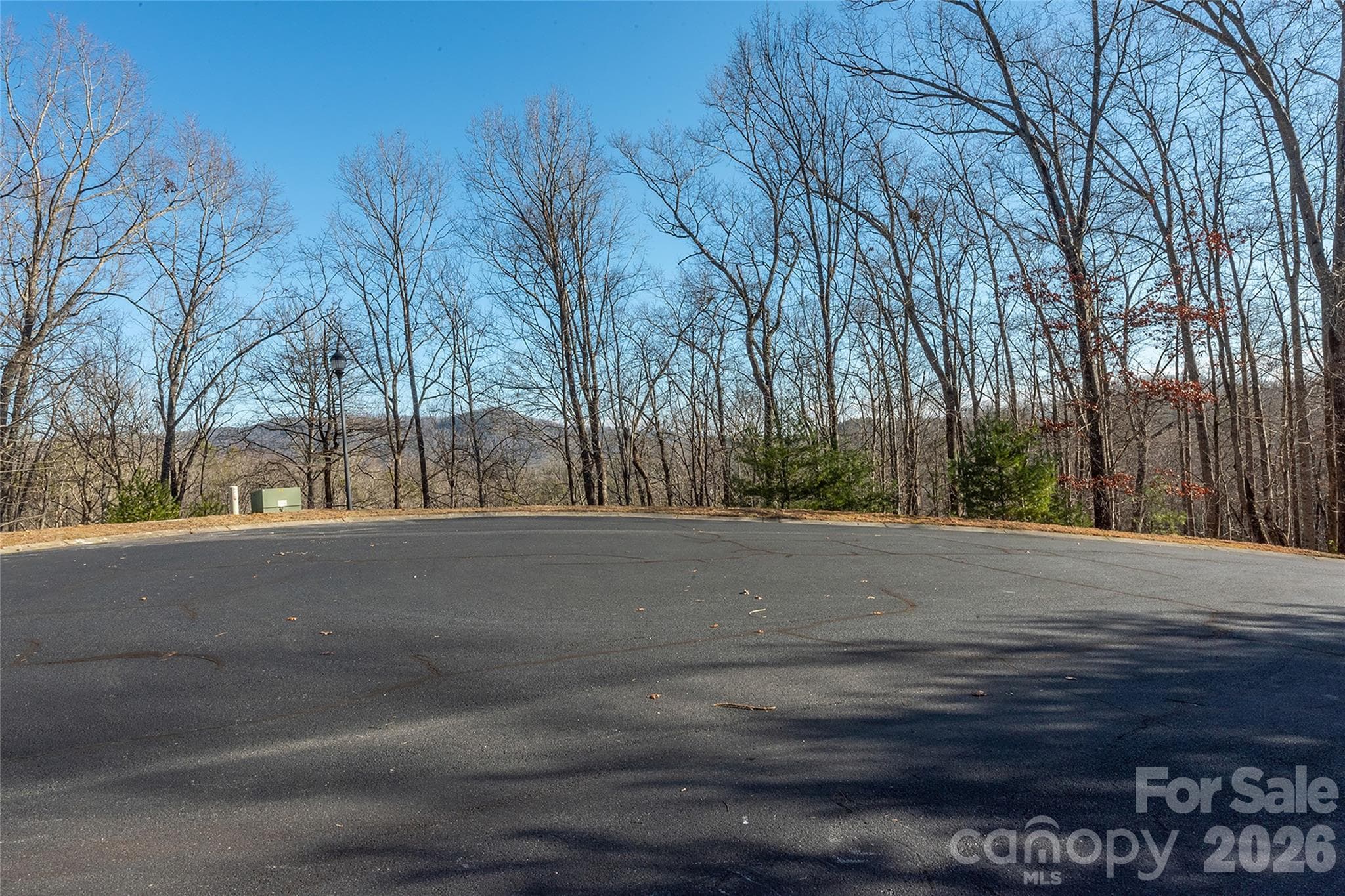 Lot at 80 Buckhead Trail, Horse Shoe, photo 3 of 29