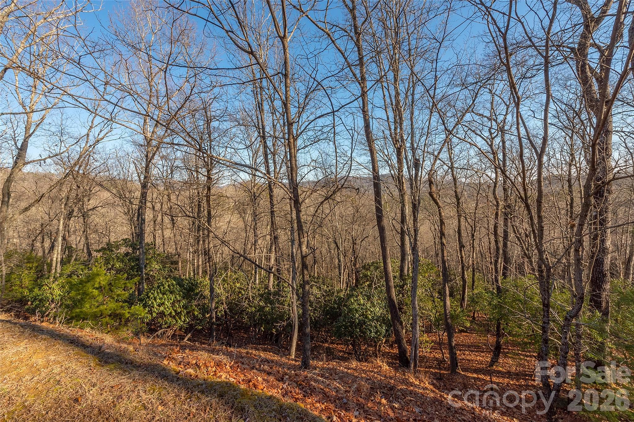 Lot at 80 Buckhead Trail, Horse Shoe, photo 4 of 29