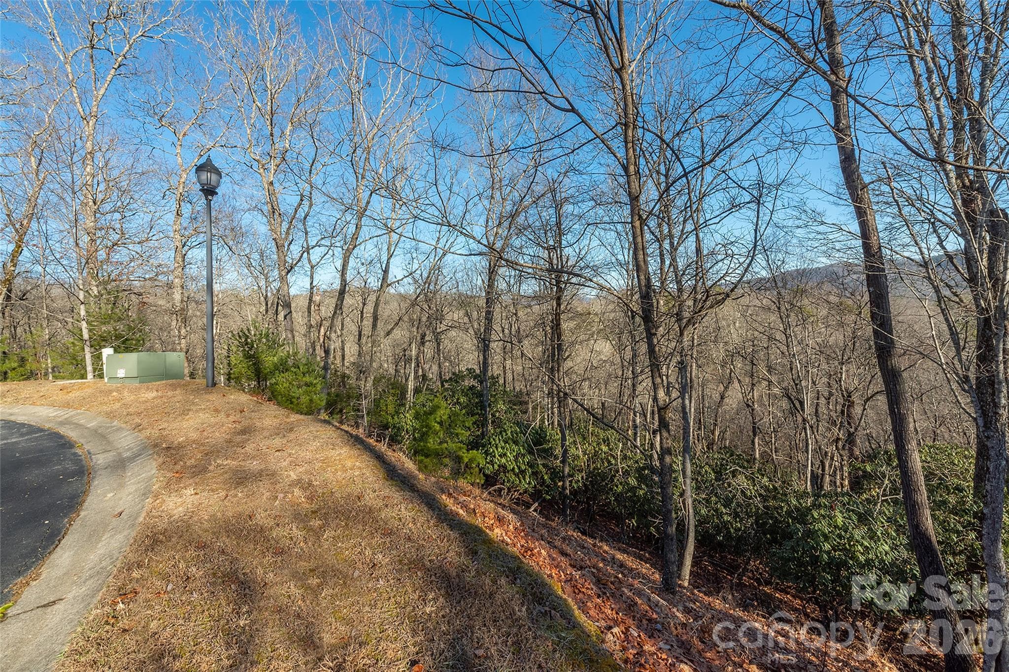 Lot at 80 Buckhead Trail, Horse Shoe, photo 5 of 29