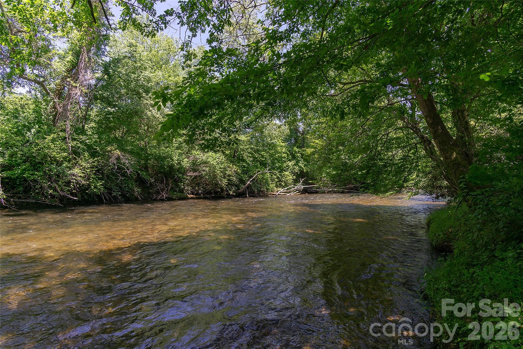 Mills River at the River Reserve - 80 Buckhead Trail, Horse Shoe