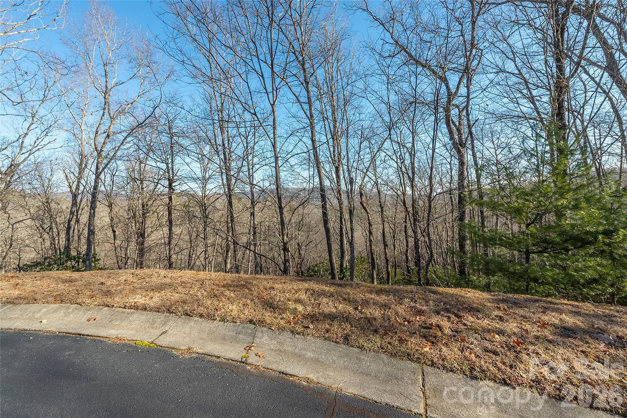 Lot at 80 Buckhead Trail, Horse Shoe, photo 12 of 29