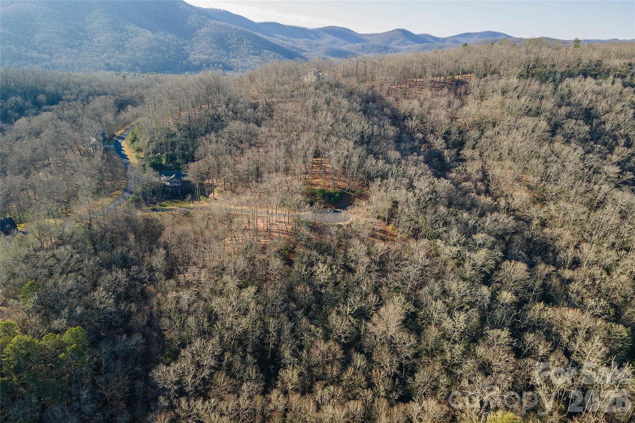 Lot at 80 Buckhead Trail, Horse Shoe, photo 20 of 29