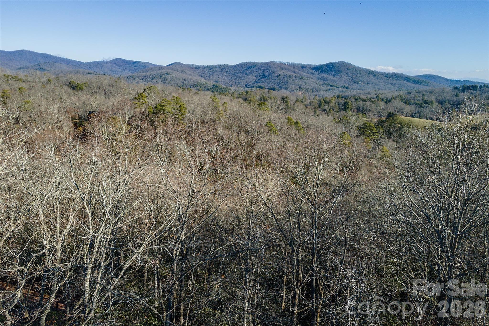 Lot at 80 Buckhead Trail, Horse Shoe, photo 25 of 29