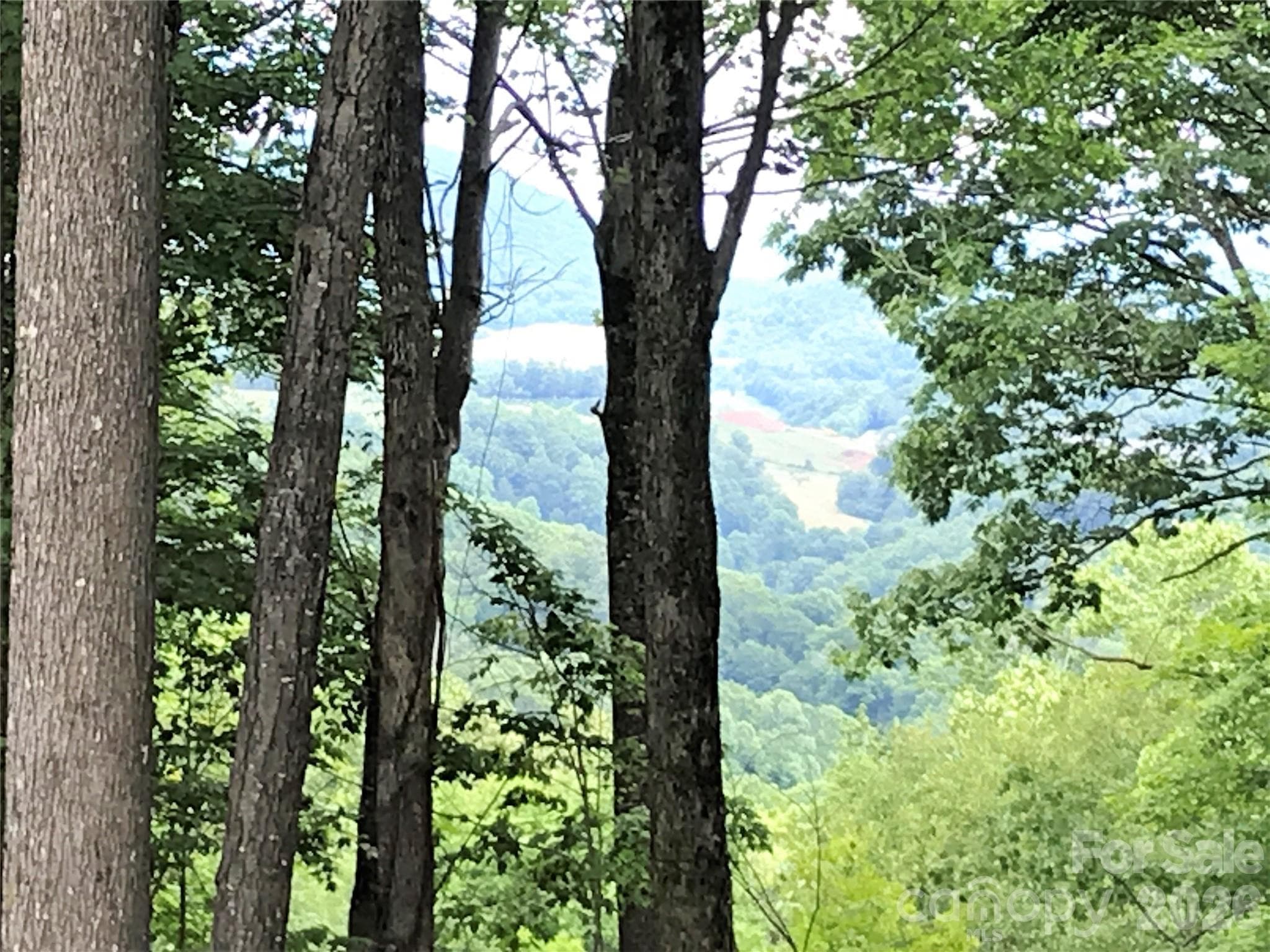 Some tree limbing up and you have valley and long range mountain views - Lot 64 Poplar Forest Drive, Boone