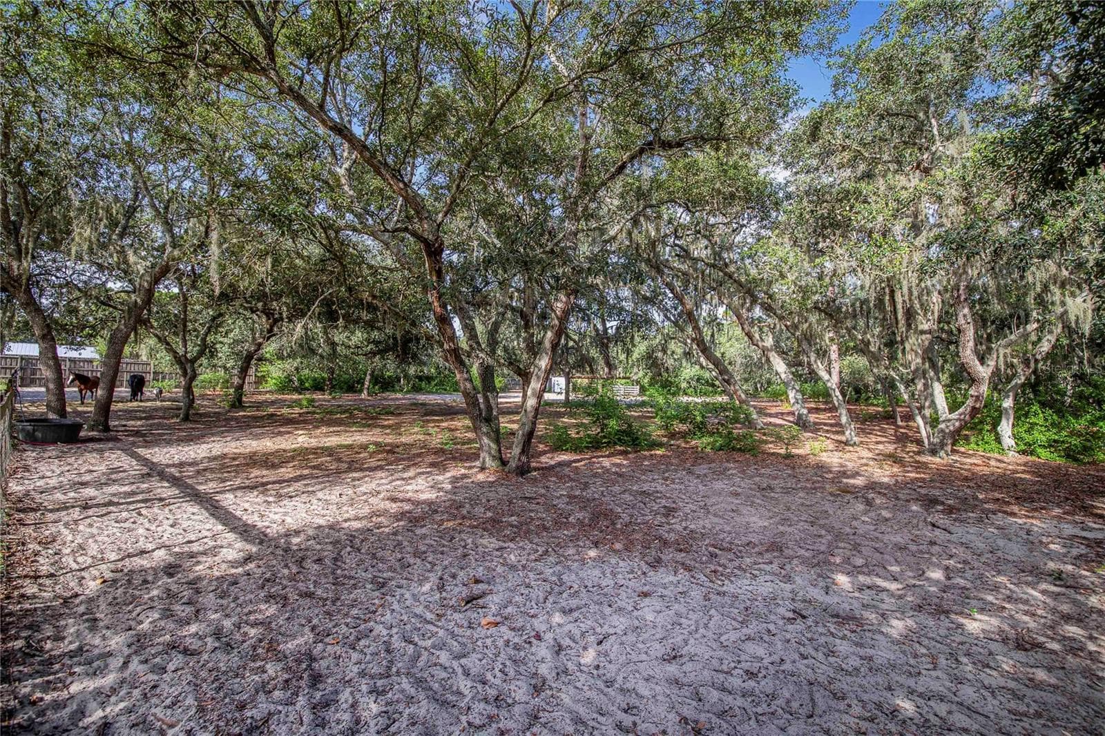 Single Family Residence at 10740 JIM EDWARDS RD, HAINES CITY, photo 43 of 67