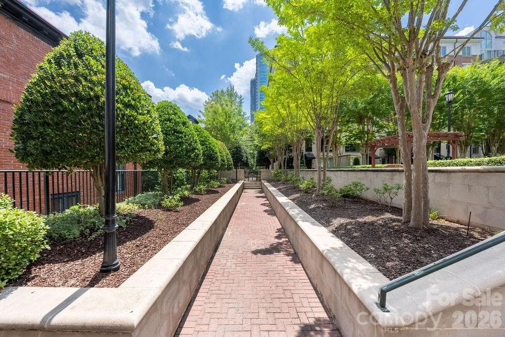 Tree-Lined Walkways - 300 W 5th Street, Charlotte