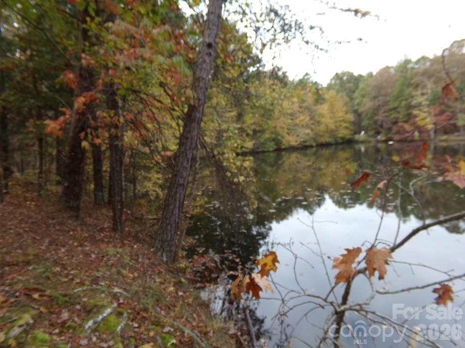 View to Pond Dam - 627 Bolick Road, Fort Mill