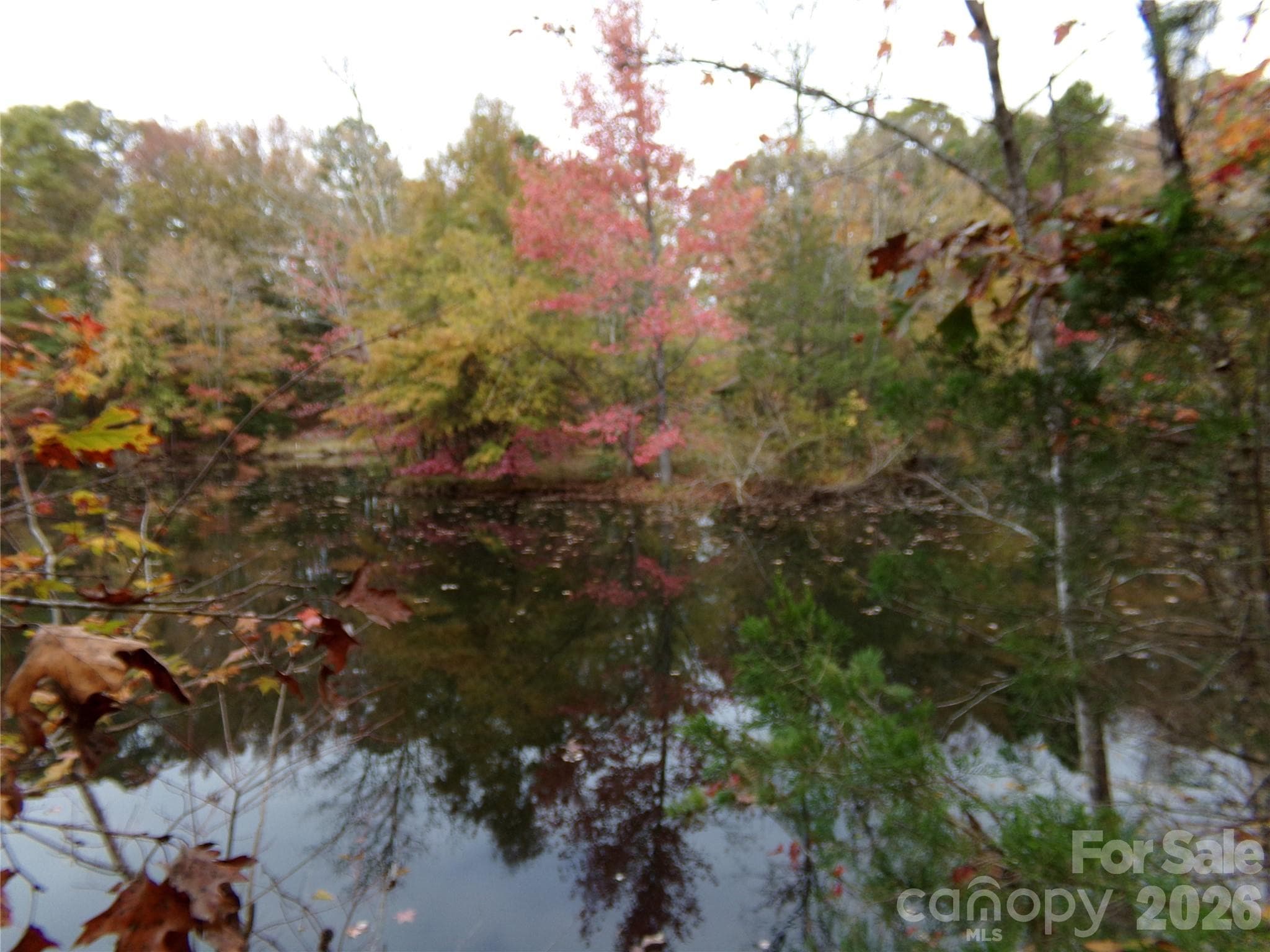 Ducks - 627 Bolick Road, Fort Mill