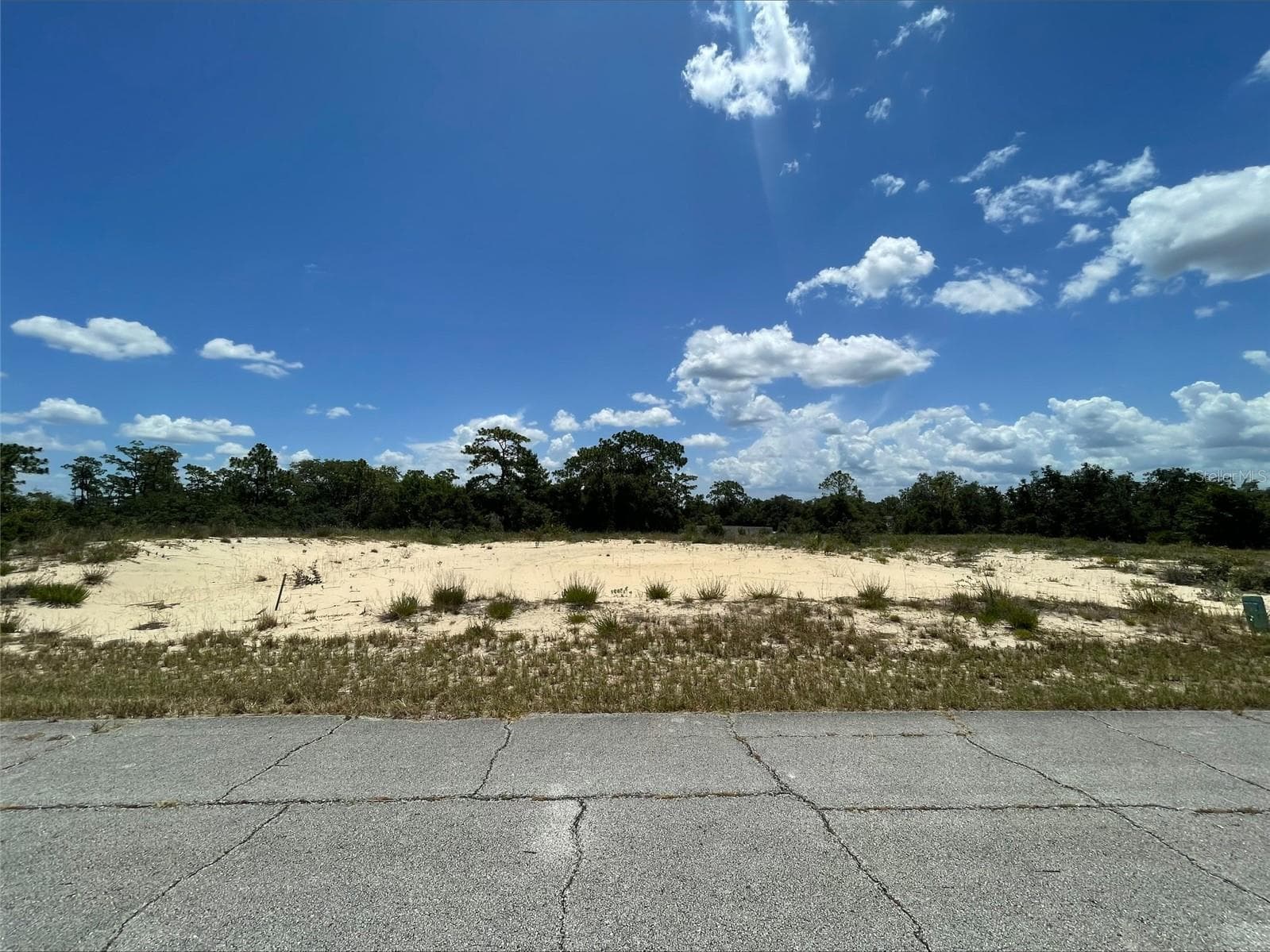 1344 HOMOSASSA CT