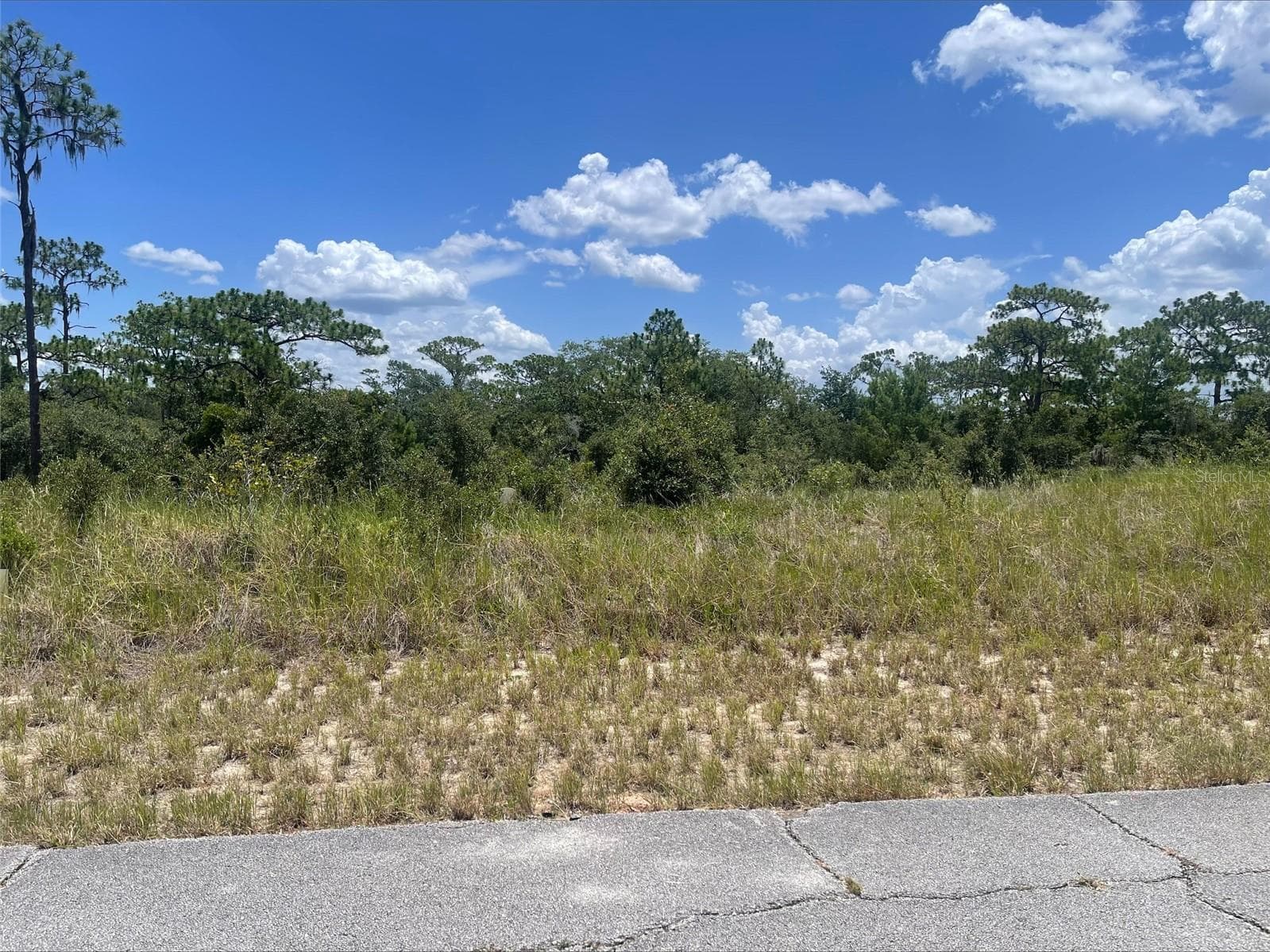 1340 HOMOSASSA CT
