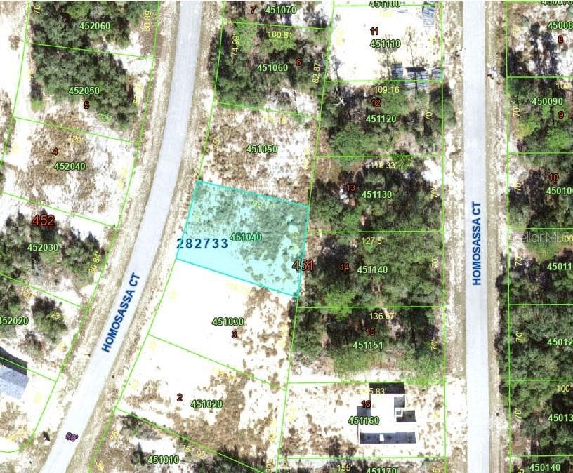 Land at 1342 HOMOSASSA CT, POINCIANA, photo 6 of 6