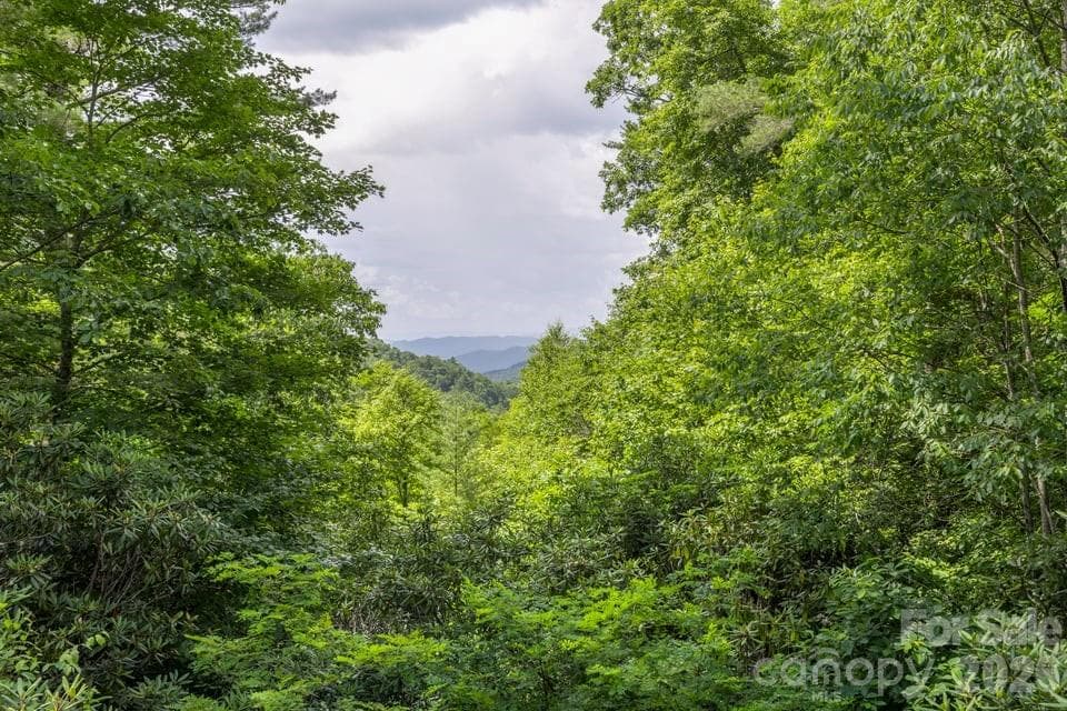 Long range layered mountain view - 4435 Flat Mountain Road, Highlands