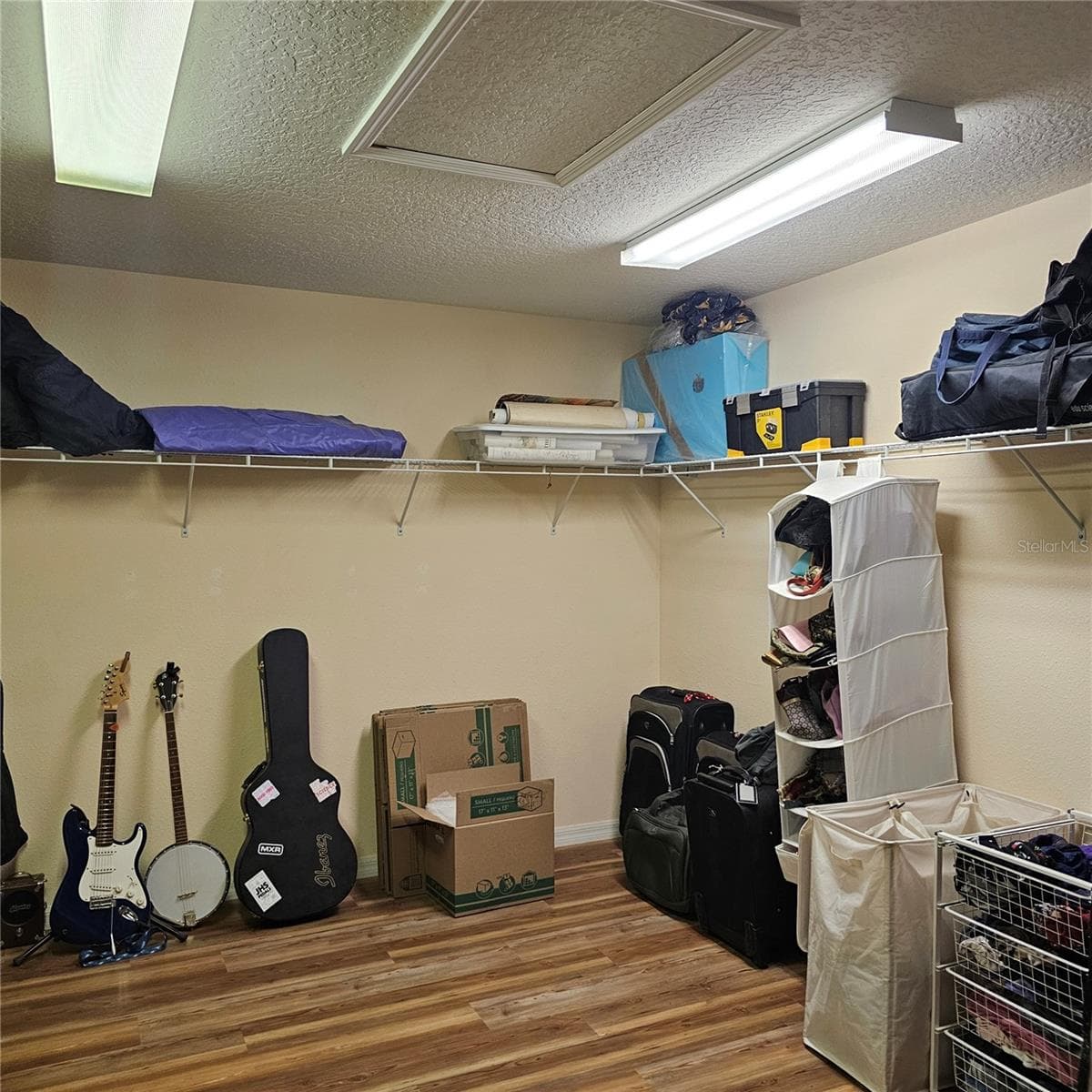 Extra Large Closet with storage options in Primary Bedroom - 7306 BRIDGEVIEW DR, WESLEY CHAPEL