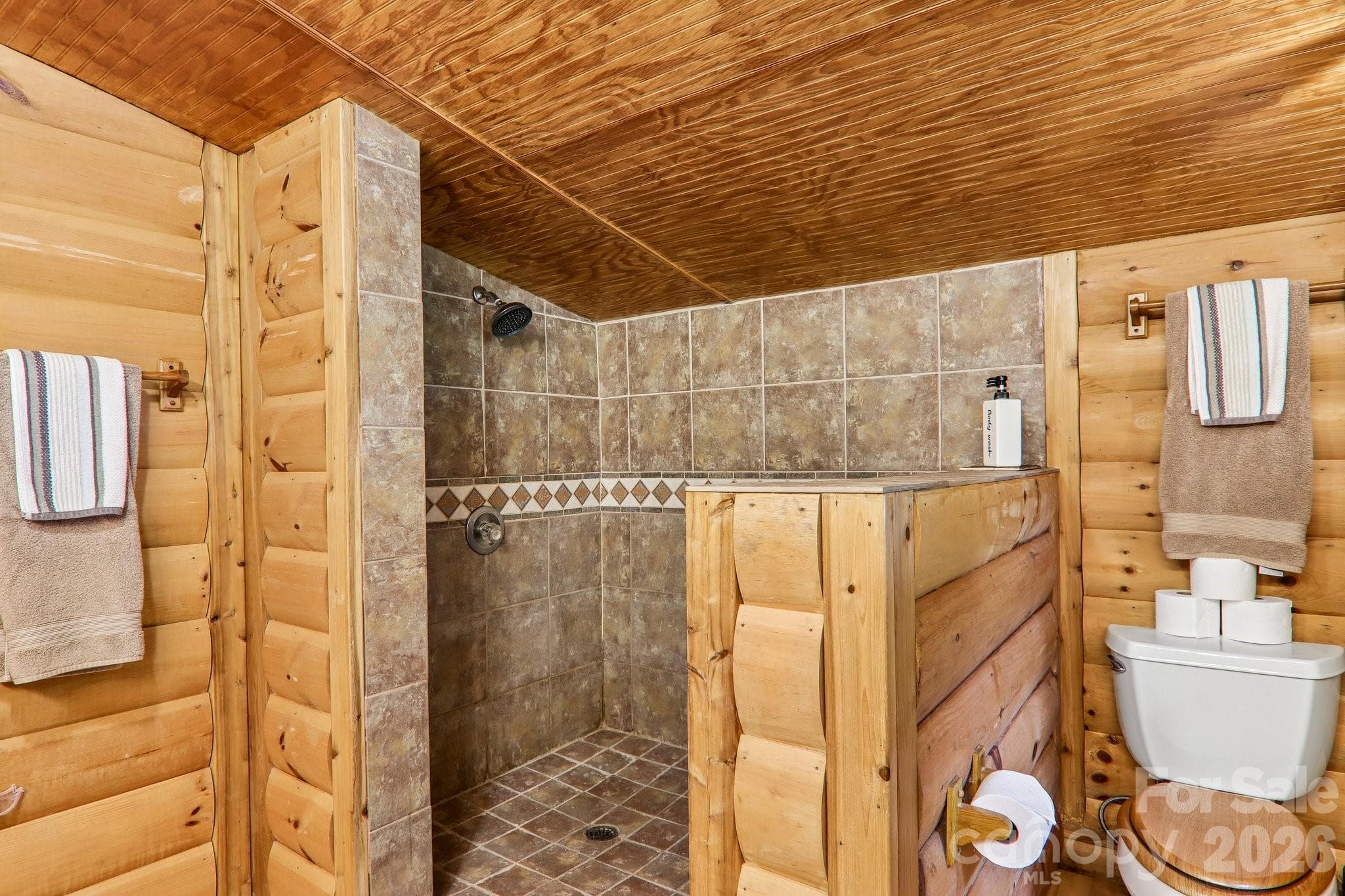 Primary Bath w/Walk In Shower - 251 Village Lane, Mars Hill