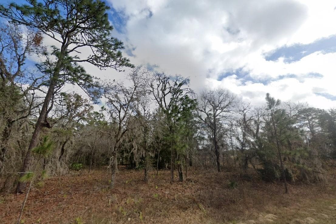 CRIDER RD