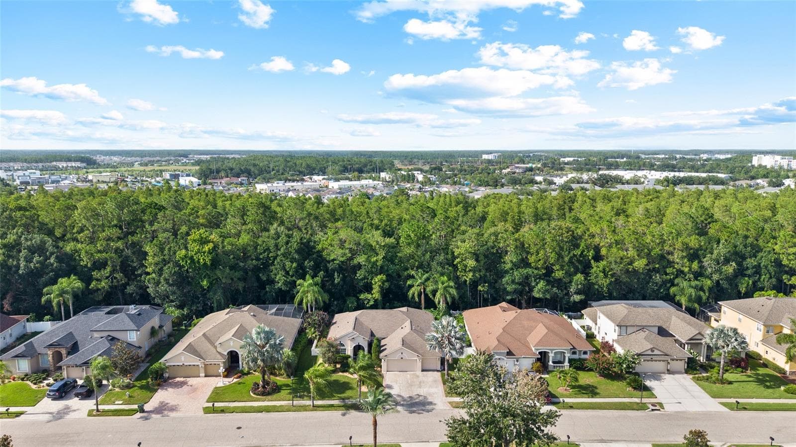 Single Family Residence at 16132 IVY LAKE DR, ODESSA, photo 38 of 60