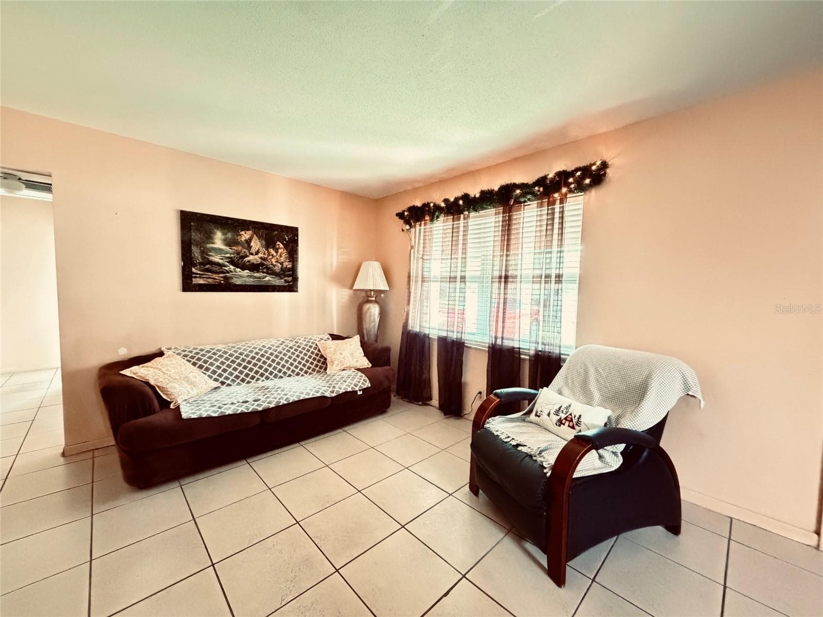 Single Family Residence at 3306 W BURKE ST, TAMPA, photo 10 of 27