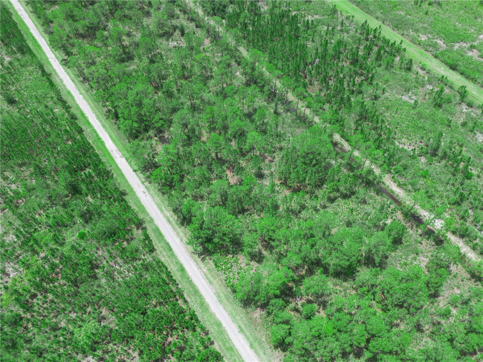 Land at 0 VALENCIA DR, INDIAN LAKE ESTATES, photo 6 of 19