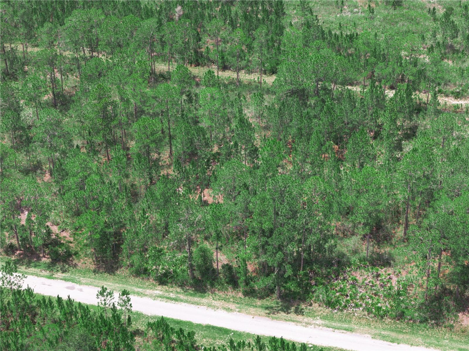 Land at 0 VALENCIA DR, INDIAN LAKE ESTATES, photo 11 of 19
