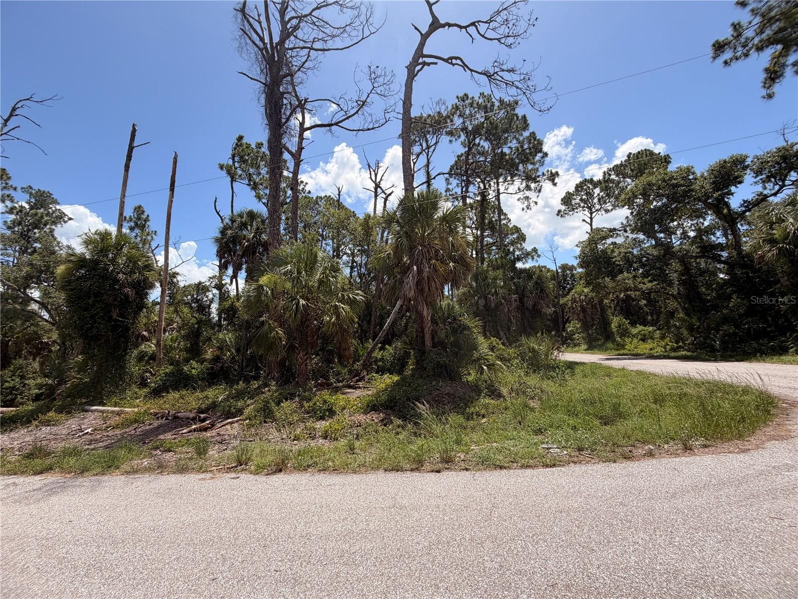 Land at 17392 ORION AVE, PORT CHARLOTTE, photo 3 of 4