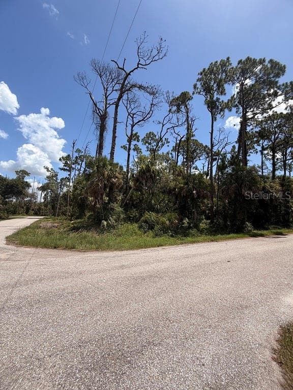 Land at 17392 ORION AVE, PORT CHARLOTTE, photo 4 of 4