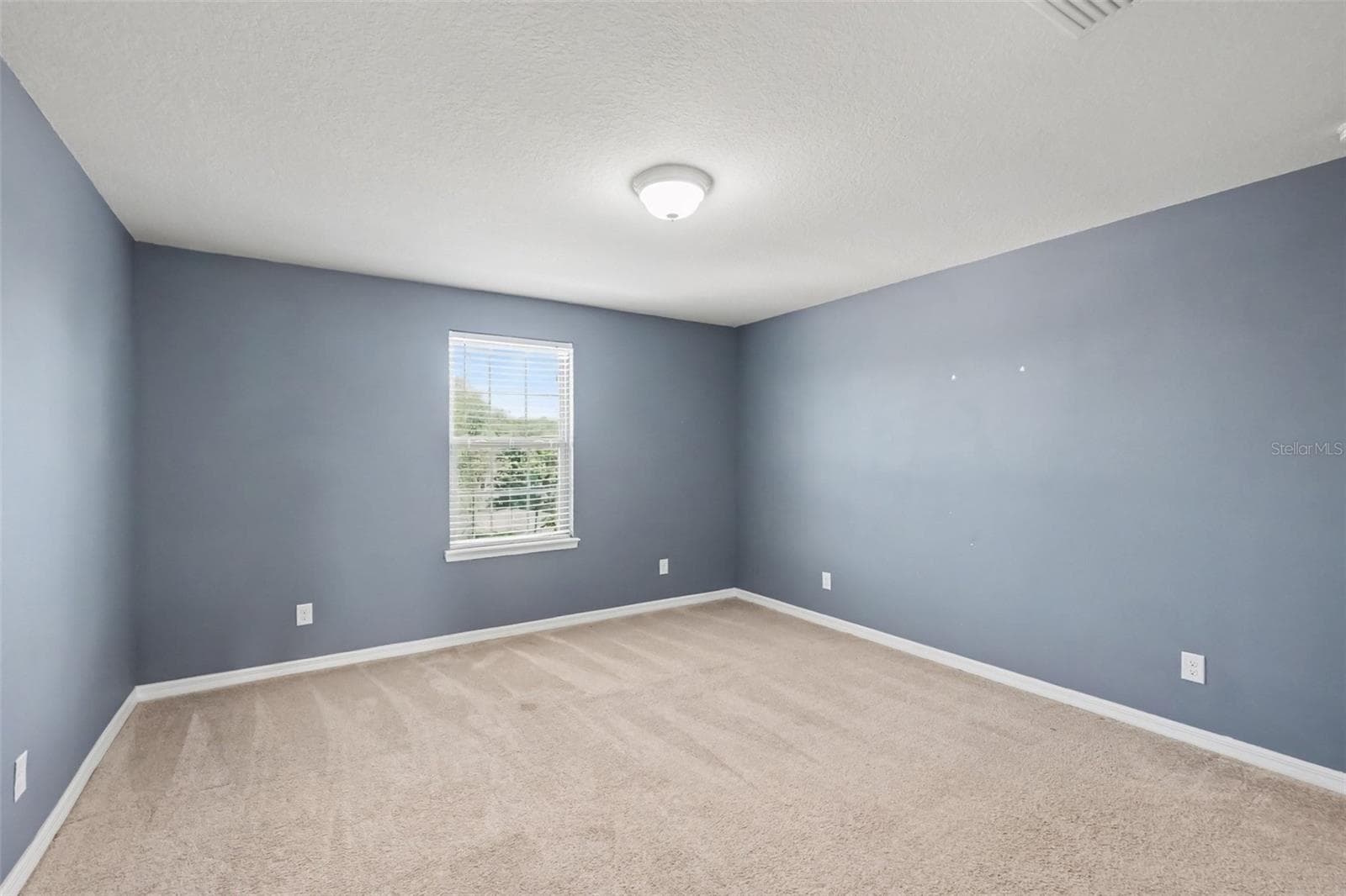 Single Family Residence at 9217 EUROPEAN OLIVE WAY, RIVERVIEW, photo 17 of 30