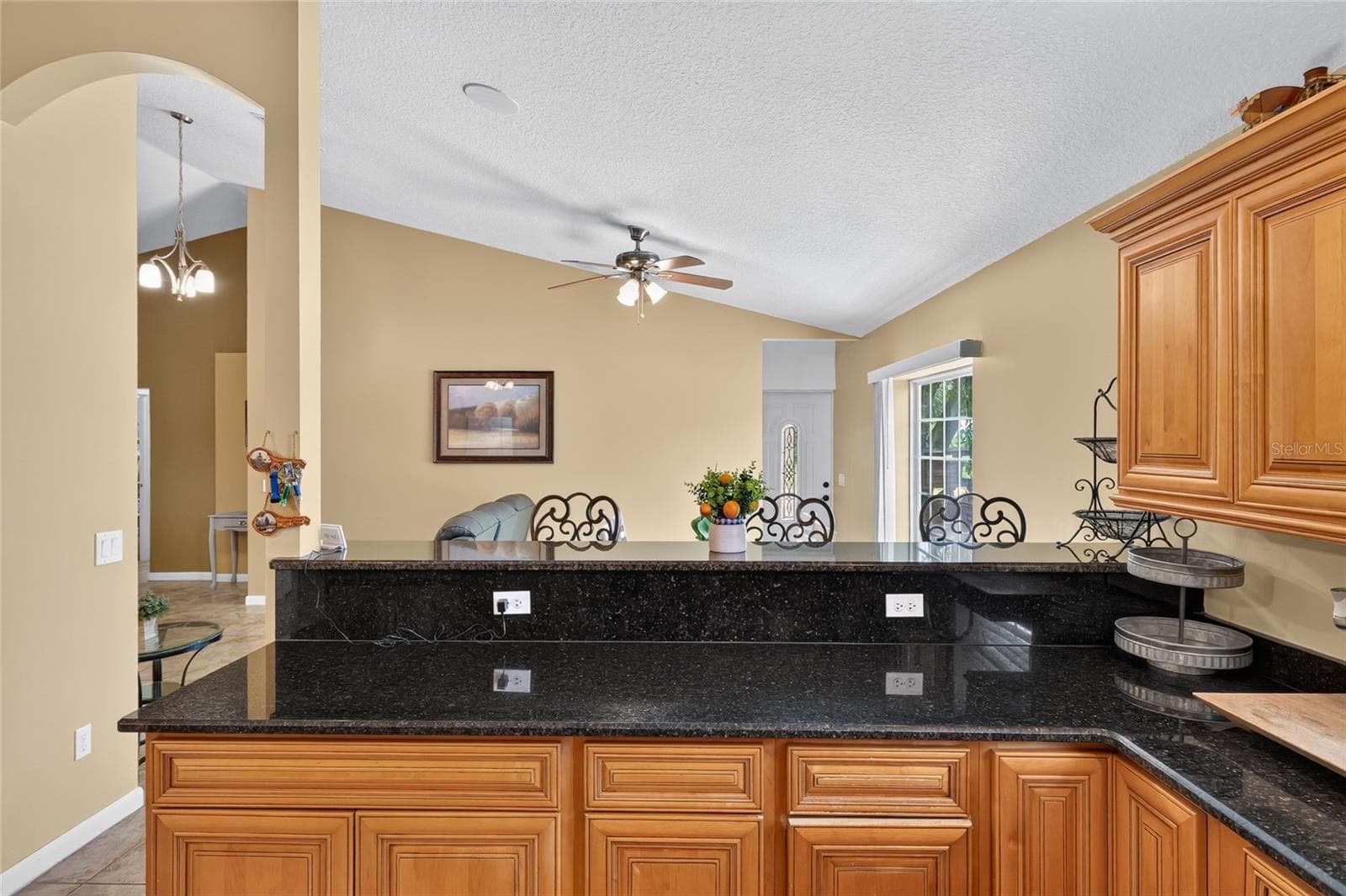 Single Family Residence at 3830 GRIFFIN VIEW DR, LADY LAKE, photo 31 of 91