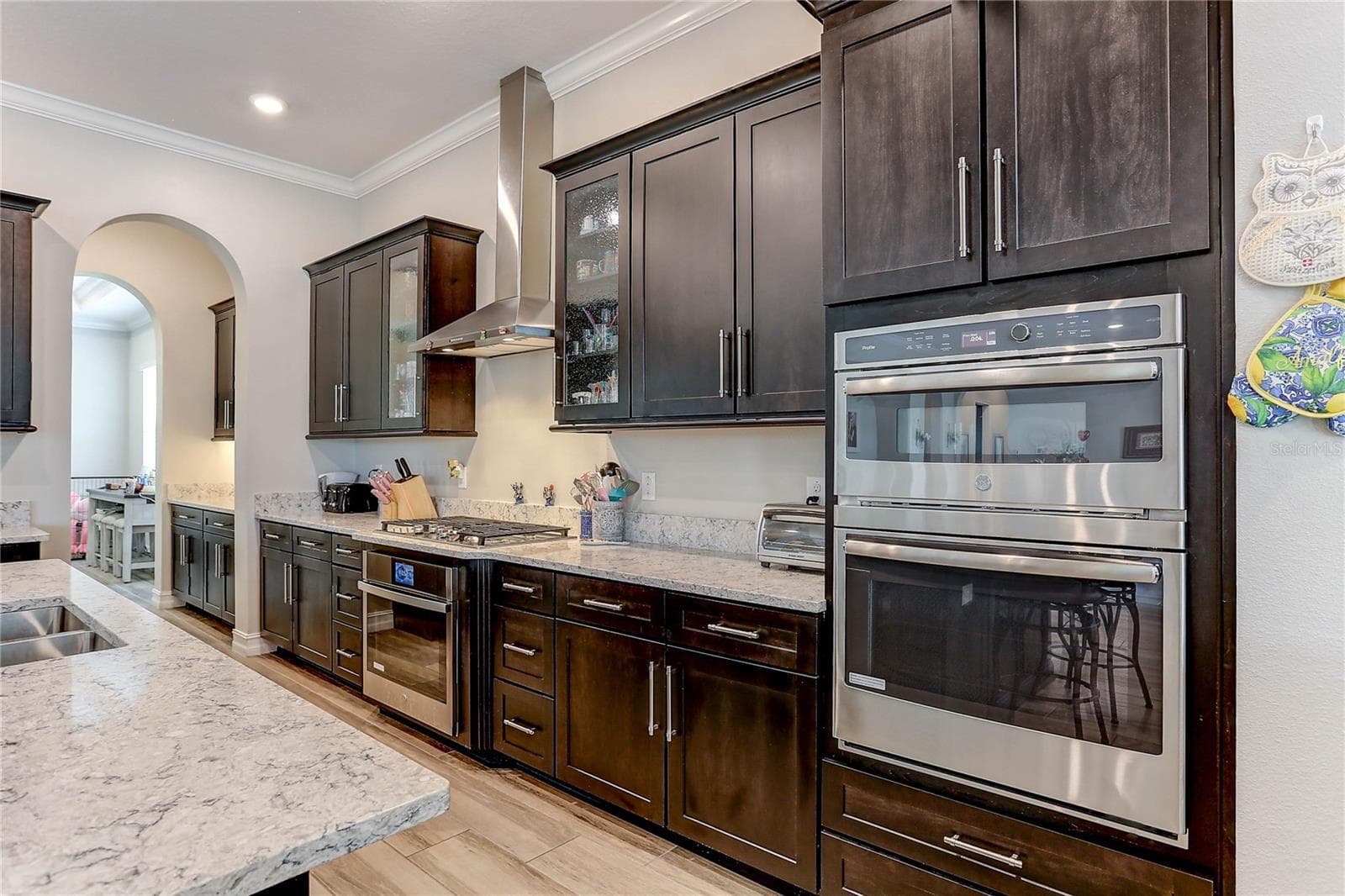 Kitchen, butler pantry - 18014 WOODLAND VIEW DR, LUTZ