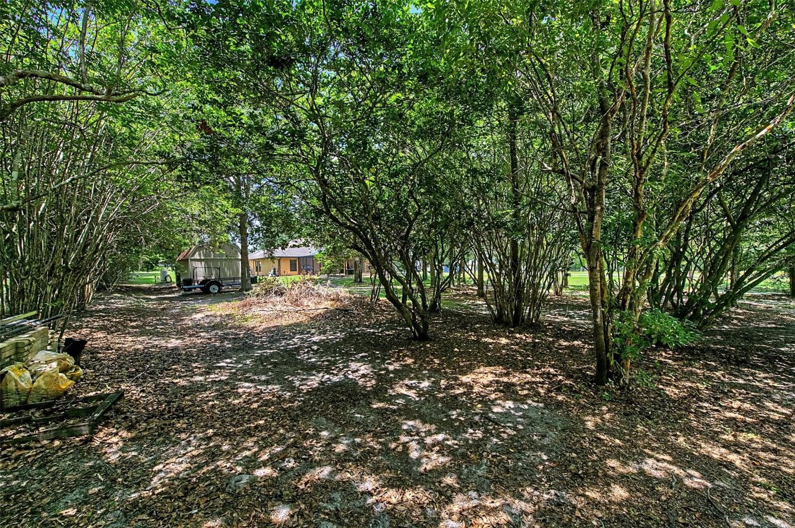 Back Yard - 27928 AUSTIN WOODS DRIVE, DADE CITY